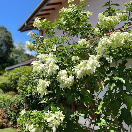 Garden Haven Hikkaduwa别墅 外观 照片