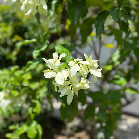 Garden Haven Hikkaduwa别墅 外观 照片